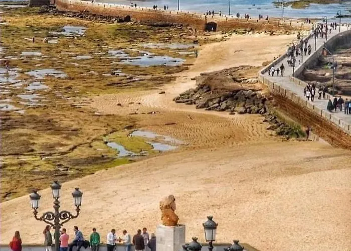 Loft Puerto De Gades Lejlighed Cádiz